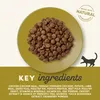 Applaws 5060333439637, Dorosły, Każda rasa, Kurczak, Podgląd zdjęcia produktu 6