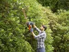 Black&Decker BEHTS501-QS Elektro-Heckenschere 600 Watt Produktbild-Vorschau 3
