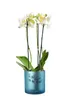 Windlicht Vase aus Glas blau silber mit Blumenmuster 15cm Produktbild-Vorschau 3