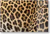 DEQORI Schneidebrett Glas 30x20 cm 'Muster der Wildnis' Produktbild-Vorschau 1