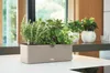 Lechuza Samozavlažovací květináč Cube Color Triple, béžová Náhled obrázku produktu 7