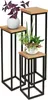 holz4home® Dekoständer-Set 3-tlg. in schwarz aus Massivholz Produktbild-Vorschau 1