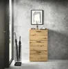 A hallway with a shoe cabinet, umbrella stand, and a door. Produktbild-Vorschau