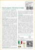 SAFLAX  - Sequoia gigante - 50 semi - Con substrato - Anteprima dell’immagine prodotto 3