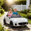 AIYAPLAY Kinder Elektroauto 12V 2-Sitzer Kinderauto mit Produktbild-Vorschau 2