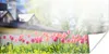 MuchoWow® Poster Tulpen - Farben - Frühling 120x60 cm - Produktbild-Vorschau 1