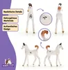 Schleich 14896 - Poulain Marwari - Horse Club Voir les images du produit 3