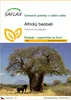 SAFLAX - Africký baobab - Adansonia digitata - 6 Semena Náhled obrázku produktu 1
