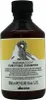 Davines Natural Tech Purifying Shampoo Reinigungsshampoo Produktbild-Vorschau 3