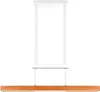 TRIO 230561142 MACKENZIE Applique murale LED SMD 8 W/800 lm Voir les images du produit 6