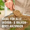 COMPO  GRANUPLANT Indoor Pflanzengranulat - 100% Produktbild-Vorschau 5