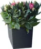 Prosperplast Furu Collection Blumentopf, Silber, Produktbild-Vorschau 15