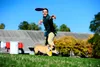 Chuckit Paraflight Anteprima dell’immagine prodotto 5