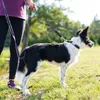 BedDog Hundeleine WILLY verstellbar in 3 Längen Führleine, Produktbild-Vorschau 6