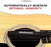 D'Addario Humidipak Maintain Humidity Control Packs Náhľad obrázku produktu 10