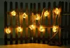 Solar Lichterkette Outdoor Garten Solarleuchte Glühbirnen Produktbild-Vorschau 13