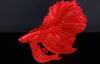 Design Deko Figur Kampffisch CROWNTAIL 35cm rot Betta Fisch Produktbild-Vorschau 4