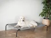 Hundebett "Iron" 120×70 cm – mit Metallrahmen & Produktbild-Vorschau 2