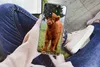 MuchoWow® Handyhülle Schutzhülle Hülle für Samsung galaxy Produktbild-Vorschau 3