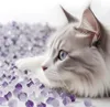 A close-up of a cat's face with blue eyes, lying on a bed of small purple and clear crystals. Anteprima dell’immagine prodotto