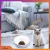 A fluffy white cat sits on a rug next to an automatic pet feeder filled with food. Anteprima dell’immagine prodotto