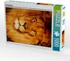 Calvendo Löwenportrait 1000 Teile Puzzle hoch 480x640mm, Produktbild-Vorschau 1