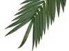 EUROPALMS Kokos-Königspalmwedel, künstlich, 210cm Produktbild-Vorschau 3
