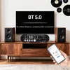 2.1-kanałowy wzmacniacz Bluetooth 50Wx2 100W Subwoofer HIFI Podgląd zdjęcia produktu 6