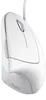 Trust Verto souris Droitier USB Type-A Optique 1600 DPI Voir les images du produit 6