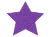 Primaflor Deko-Stern - GLIMMER - Lila - 16,5 cm - Teller- & Produktbild-Vorschau 2