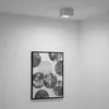 LUMILED bodové svietidlo na povrchovú montáž, stropné Náhľad obrázku produktu 9
