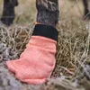 Non-stop dogwear PROTECTOR Light Socks 4er | 13212, Größe:M Produktbild-Vorschau 6