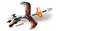 LEGO® NINJAGO Drachenmeister Cole 70645 Produktbild-Vorschau 5