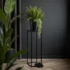 FRAMADO, Pflanzenständer Ferro, Metallregal, Blumenständer, Produktbild-Vorschau 3