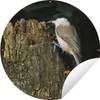 MuchoWow® Produktbild-Vorschau 1