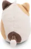 NICI 61141 Set peluche gatto Angy 8 cm con cactus Anteprima dell’immagine prodotto 8