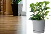 Prosperplast s.r.o. Květináč TUBO P 17,8 cm, šedá Náhled obrázku produktu 8