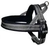 Norwegergeschirr "CLASSIC REFLECT SOFT", grau, XL Produktbild-Vorschau 2