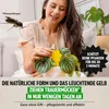 Super Ninja Gelbfalle 10er Produktbild-Vorschau 3