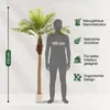 Meisterhome Kunstpalme 210 cm – Extra große Tropische Produktbild-Vorschau 3