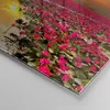 Bilder auf glas - Einteilig - See Blumen - 50x70cm - Produktbild-Vorschau 5