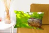 MuchoWow® Zierkissen Sofakissen Wohnzimmer Dekokissen 50x30 Produktbild-Vorschau 6