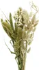 Trockenblumen Strauß Blumen und Gräser Mix 45cm natur grün Produktbild-Vorschau 3