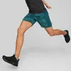 Puma Off Season AOP 7" Trainingsshorts Herren varsity grün Produktbild-Vorschau 4