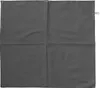 Bandana 100% Baumwolle 54x54 cm – Halstuch, Kopftuch, Produktbild-Vorschau 2