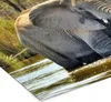 MuchoWow® MuchoWow® Gerahmtes Poster Elefant - Wasser - Produktbild-Vorschau 7