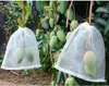 60 Stück Obst Schutzbeutel mit Kordelzug, Insekten Produktbild-Vorschau 4
