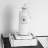 Nordic Flame Feuerlöscher CLASSIC SERIE weiß 2kg Produktbild-Vorschau 6