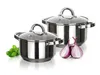 Two stainless steel pots with glass lids, along with basil and red onions, are arranged on a white background. Voir les images du produit