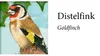 Sound-Adventskalender - Unsere Vögel im Winter Produktbild-Vorschau 3